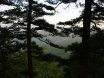 羰֮籦