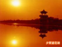羰