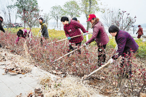 市水上运动中心附近的白河台地上,工作人员正在锄草植绿。