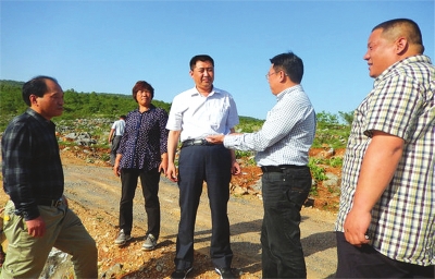 内乡县委常委、组织部部长田云章(右三)在京宛合作项目万亩万寿菊示范种植基地调研